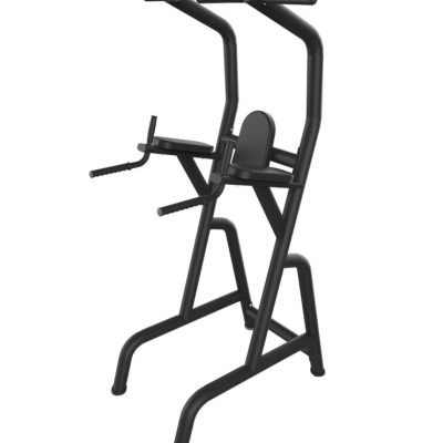 Chaise Romaine - CARE - Poste Abdos-Lombaires et Dips